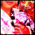 Model：aji-shio